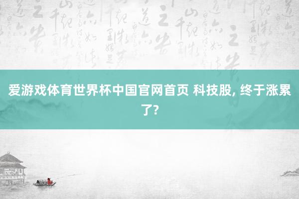爱游戏体育世界杯中国官网首页 科技股, 终于涨累了?