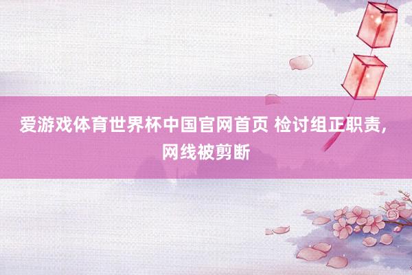 爱游戏体育世界杯中国官网首页 检讨组正职责, 网线被剪断