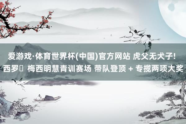 爱游戏·体育世界杯(中国)官方网站 虎父无犬子! 西罗・梅西明慧青训赛场 带队登顶 + 专揽两项大奖