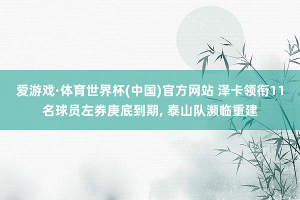 爱游戏·体育世界杯(中国)官方网站 泽卡领衔11名球员左券庚底到期, 泰山队濒临重建