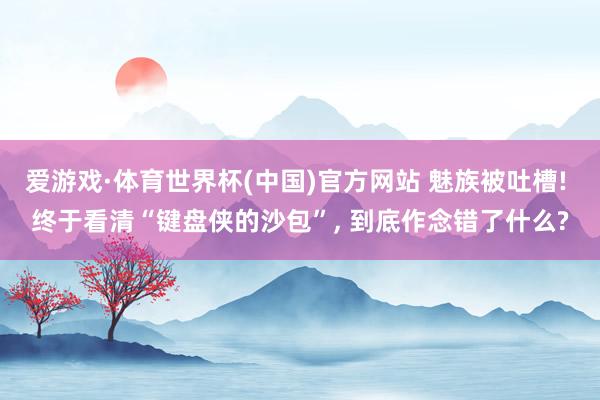 爱游戏·体育世界杯(中国)官方网站 魅族被吐槽! 终于看清“键盘侠的沙包”, 到底作念错了什么?