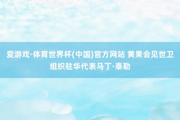 爱游戏·体育世界杯(中国)官方网站 黄果会见世卫组织驻华代表马丁·泰勒