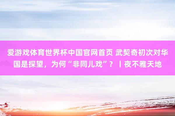 爱游戏体育世界杯中国官网首页 武契奇初次对华国是探望,为何“非同儿戏”?丨夜不雅天地