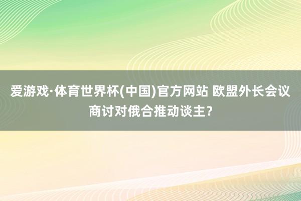爱游戏·体育世界杯(中国)官方网站 欧盟外长会议商讨对俄合推动谈主?