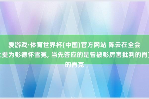 爱游戏·体育世界杯(中国)官方网站 陈云在全会上提为彭德怀雪冤, 当先答应的是曾被彭厉害批判的肖克
