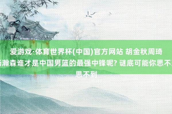 爱游戏·体育世界杯(中国)官方网站 胡金秋周琦杨瀚森谁才是中国男篮的最强中锋呢? 谜底可能你思不到