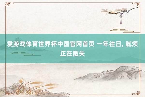 爱游戏体育世界杯中国官网首页 一年往日, 腻烦正在散失