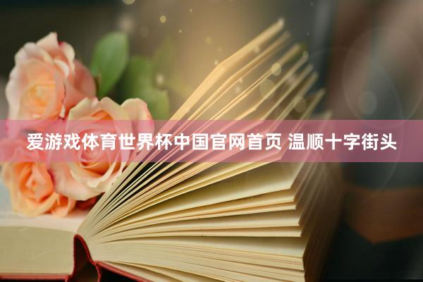 爱游戏体育世界杯中国官网首页 温顺十字街头