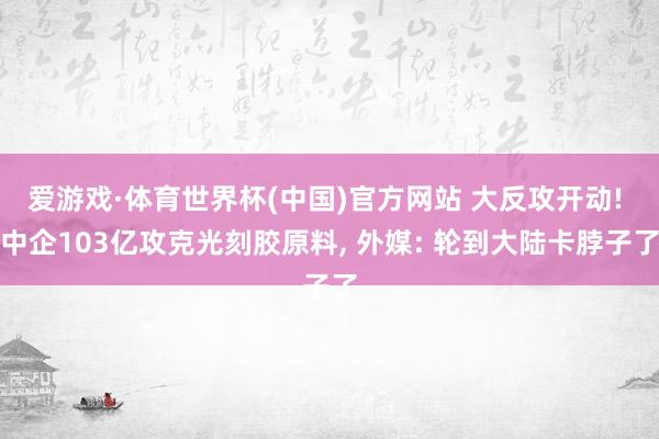 爱游戏·体育世界杯(中国)官方网站 大反攻开动! 中企103亿攻克光刻胶原料, 外媒: 轮到大陆卡脖子了