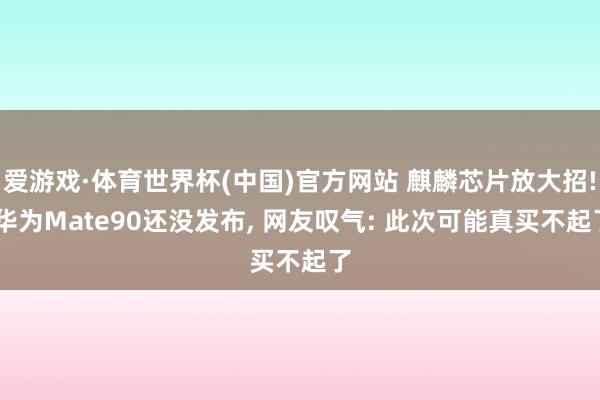 爱游戏·体育世界杯(中国)官方网站 麒麟芯片放大招! 华为Mate90还没发布， 网友叹气: 此次可能真买不起了