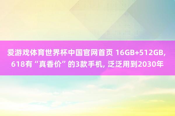 爱游戏体育世界杯中国官网首页 16GB+512GB, 618有“真香价”的3款手机, 泛泛用到2030年