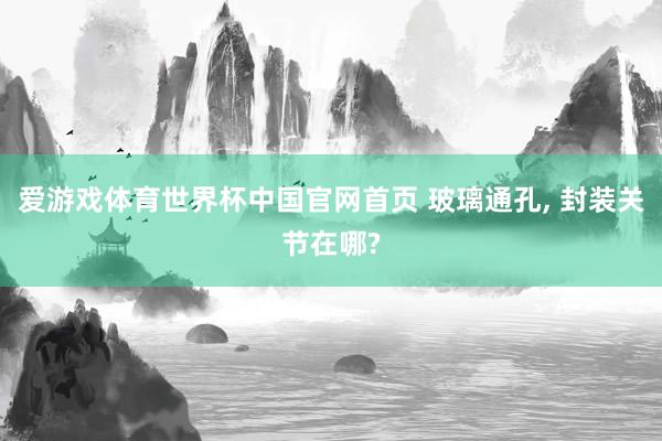 爱游戏体育世界杯中国官网首页 玻璃通孔, 封装关节在哪?
