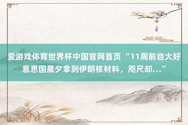 爱游戏体育世界杯中国官网首页 “11周前自大好意思国晨夕拿到伊朗核材料,咫尺却…”