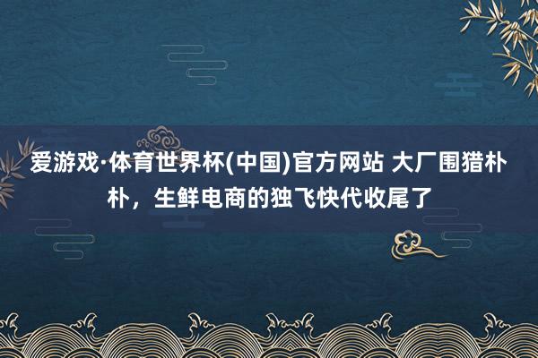 爱游戏·体育世界杯(中国)官方网站 大厂围猎朴朴,生鲜电商的独飞快代收尾了