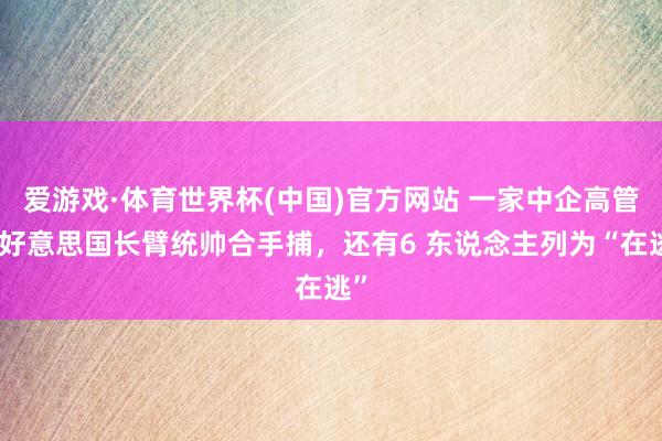 爱游戏·体育世界杯(中国)官方网站 一家中企高管遭好意思国长臂统帅合手捕,还有6 东说念主列为“在逃”