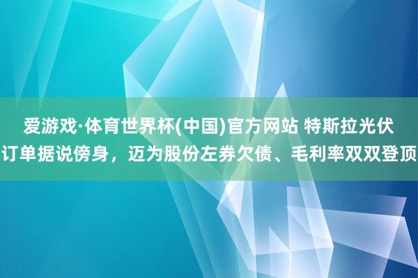 爱游戏·体育世界杯(中国)官方网站 特斯拉光伏订单据说傍身,迈为股份左券欠债、毛利率双双登顶