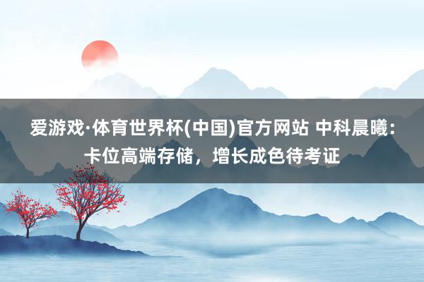 爱游戏·体育世界杯(中国)官方网站 中科晨曦:卡位高端存储,增长成色待考证