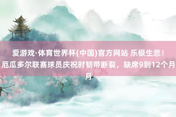爱游戏·体育世界杯(中国)官方网站 乐极生悲！厄瓜多尔联赛球员庆祝时韧带断裂，缺席9到12个月
