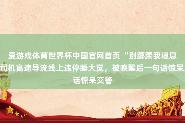爱游戏体育世界杯中国官网首页 “别踯躅我寝息!”司机高速导流线上违停睡大觉,被唤醒后一句话惊呆交警
