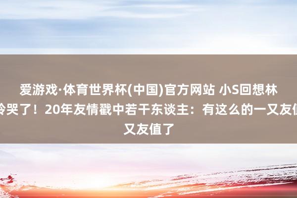 爱游戏·体育世界杯(中国)官方网站 小S回想林志玲哭了!20年友情戳中若干东谈主:有这么的一又友值了