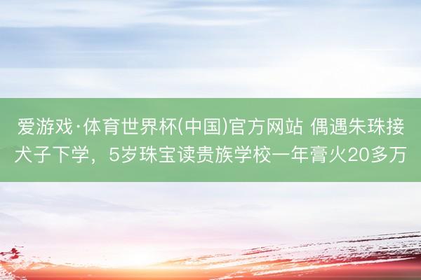 爱游戏·体育世界杯(中国)官方网站 偶遇朱珠接犬子下学,5岁珠宝读贵族学校一年膏火20多万