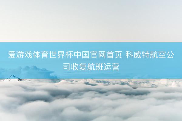 爱游戏体育世界杯中国官网首页 科威特航空公司收复航班运营