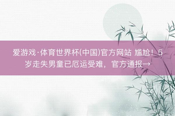 爱游戏·体育世界杯(中国)官方网站 尴尬!5岁走失男童已厄运受难,官方通报→