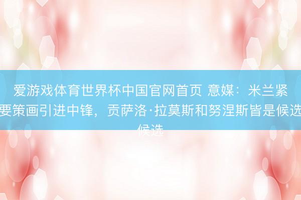 爱游戏体育世界杯中国官网首页 意媒:米兰紧要策画引进中锋,贡萨洛·拉莫斯和努涅斯皆是候选